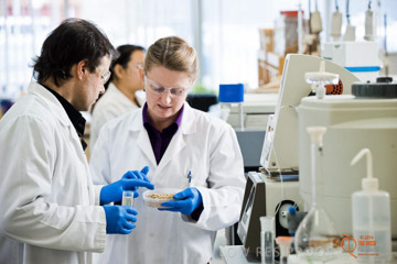 VITERRA 2013 / ABB_370_090505