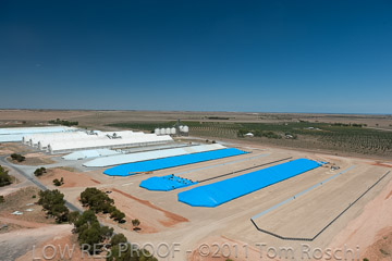 VITERRA 2013 / 110224_VITERRA_BOWMANS_862