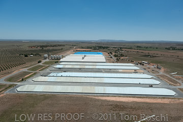 VITERRA 2013 / 110224_VITERRA_BOWMANS_889