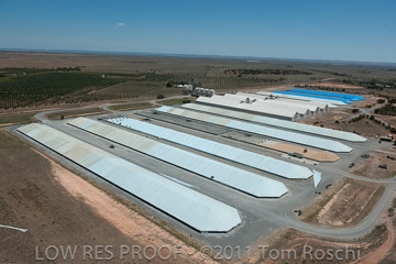 VITERRA 2013 / 110224_VITERRA_BOWMANS_890