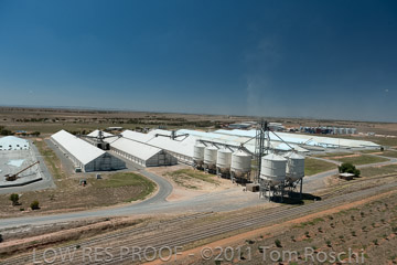 VITERRA 2013 / 110224_VITERRA_BOWMANS_904