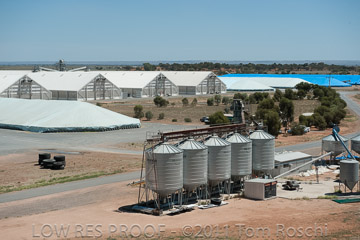 VITERRA 2013 / 110224_VITERRA_BOWMANS_924