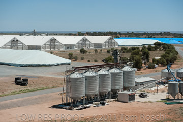 VITERRA 2013 / 110224_VITERRA_BOWMANS_925
