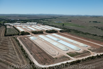 VITERRA 2013 / 110224_VITERRA_GLADSTONE_605