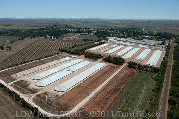 VITERRA 2013 / 110224_VITERRA_GLADSTONE_611