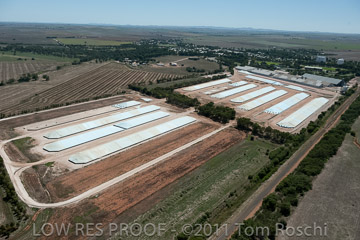 VITERRA 2013 / 110224_VITERRA_GLADSTONE_612