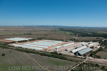 VITERRA 2013 / 110224_VITERRA_GLADSTONE_620