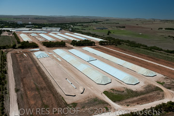 VITERRA 2013 / 110224_VITERRA_GLADSTONE_644