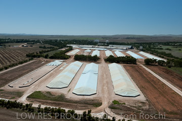 VITERRA 2013 / 110224_VITERRA_GLADSTONE_647