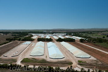 VITERRA 2013 / 110224_VITERRA_GLADSTONE_688