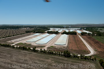 VITERRA 2013 / 110224_VITERRA_GLADSTONE_690