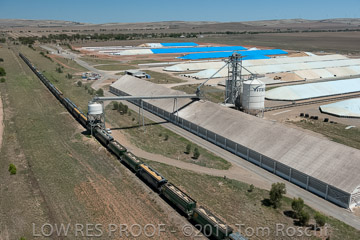 VITERRA 2013 / 110224_VITERRA_SNOWTOWN_706