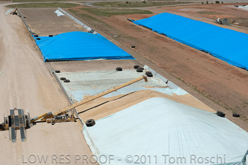 VITERRA 2013 / 110224_VITERRA_SNOWTOWN_726