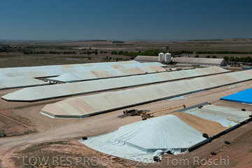 VITERRA 2013 / 110224_VITERRA_SNOWTOWN_732