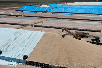 VITERRA 2013 / 110224_VITERRA_SNOWTOWN_746