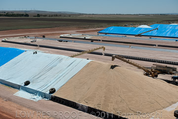VITERRA 2013 / 110224_VITERRA_SNOWTOWN_748