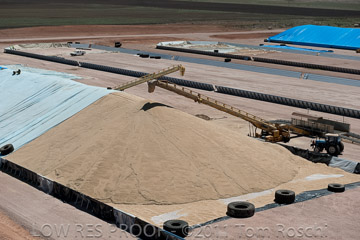 VITERRA 2013 / 110224_VITERRA_SNOWTOWN_749