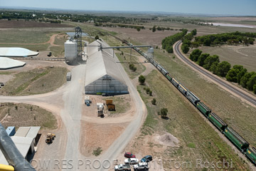 VITERRA 2013 / 110224_VITERRA_SNOWTOWN_855