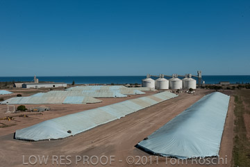 VITERRA 2013 / 110224_VITERRA_WALLAROO_422