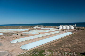 VITERRA 2013 / 110224_VITERRA_WALLAROO_424