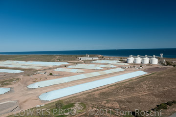 VITERRA 2013 / 110224_VITERRA_WALLAROO_427