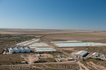 VITERRA 2013 / 110224_VITERRA_WALLAROO_485