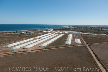 VITERRA 2013 / 110224_VITERRA_WALLAROO_492