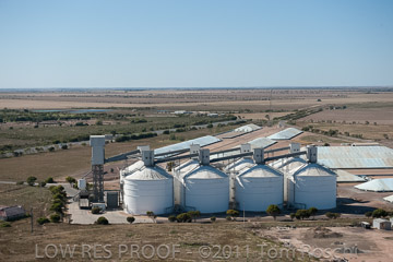 VITERRA 2013 / 110224_VITERRA_WALLAROO_555
