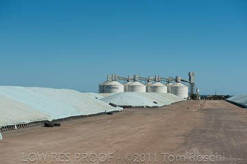 VITERRA 2013 / 110224_VITERRA_WALLAROO_601