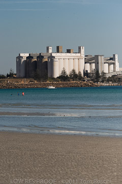 VITERRA 2013 / 110426_WALLAROO_025_