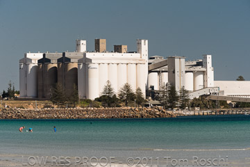 VITERRA 2013 / 110426_WALLAROO_028_
