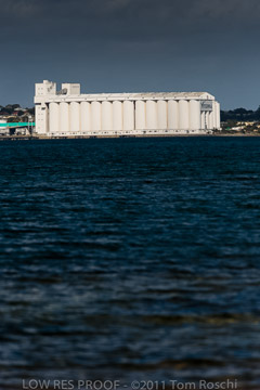 VITERRA 2013 / 110725_VITERRRA_PORT_LINCOLN_185_