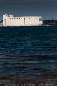 VITERRA 2013 / 110725_VITERRRA_PORT_LINCOLN_187_