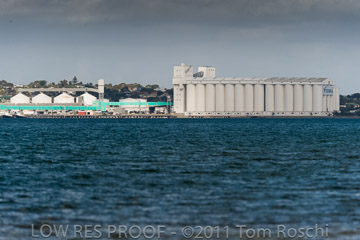 VITERRA 2013 / 110725_VITERRRA_PORT_LINCOLN_191_