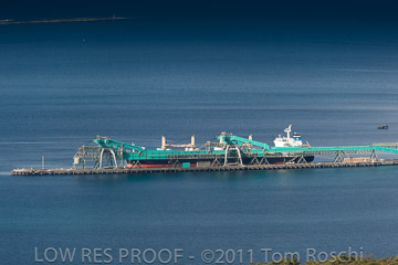 VITERRA 2013 / 110725_VITERRRA_PORT_LINCOLN_199_