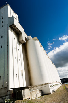 VITERRA 2013 / 110725_VITERRRA_PORT_LINCOLN_209_