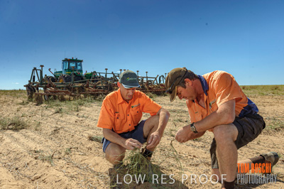 February 2012 / VITERRA_LOXTON_010_(120213)