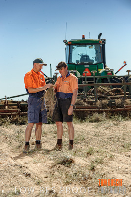 February 2012 / VITERRA_LOXTON_029_(120213)