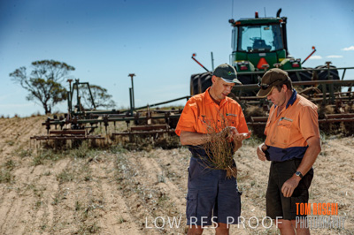 February 2012 / VITERRA_LOXTON_033_(120213)