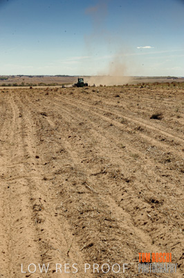 February 2012 / VITERRA_LOXTON_035_(120213)