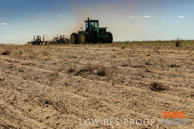 February 2012 / VITERRA_LOXTON_037_(120213)