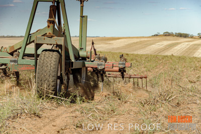 February 2012 / VITERRA_LOXTON_055_(120213)