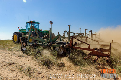 February 2012 / VITERRA_LOXTON_071_(120213)