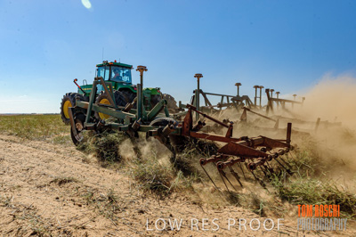 February 2012 / VITERRA_LOXTON_072_(120213)