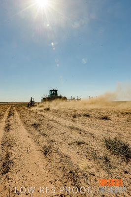 February 2012 / VITERRA_LOXTON_077_(120213)
