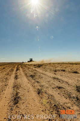 February 2012 / VITERRA_LOXTON_080_(120213)