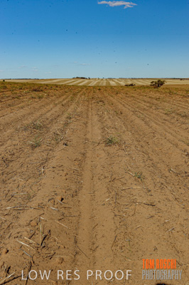 February 2012 / VITERRA_LOXTON_081_(120213)