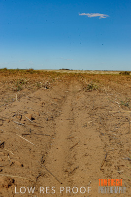 February 2012 / VITERRA_LOXTON_082_(120213)