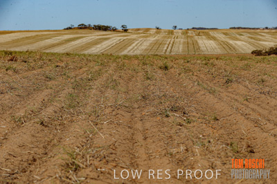 February 2012 / VITERRA_LOXTON_084_(120213)