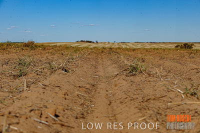 February 2012 / VITERRA_LOXTON_085_(120213)
